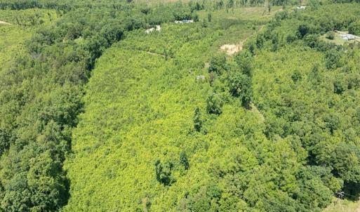 Photo #19 of 153 West Stokes Road, Green Bay, VA 11.6 acres
