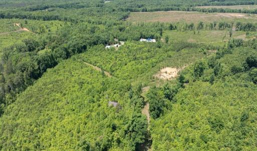 Photo #21 of 153 West Stokes Road, Green Bay, VA 11.6 acres