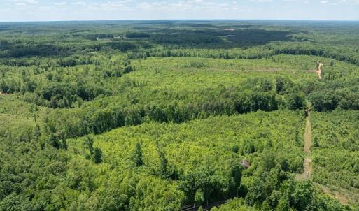 Photo #22 of 153 West Stokes Road, Green Bay, VA 11.6 acres