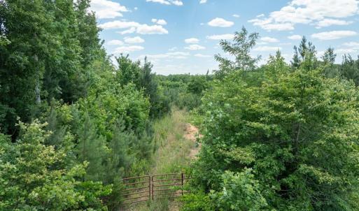 Photo #3 of 153 West Stokes Road, Green Bay, VA 11.6 acres