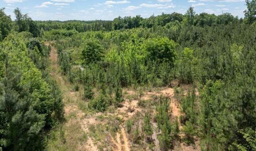 Photo #30 of 153 West Stokes Road, Green Bay, VA 11.6 acres