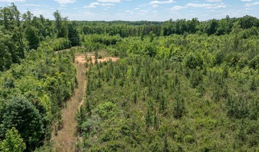 Photo #31 of 153 West Stokes Road, Green Bay, VA 11.6 acres