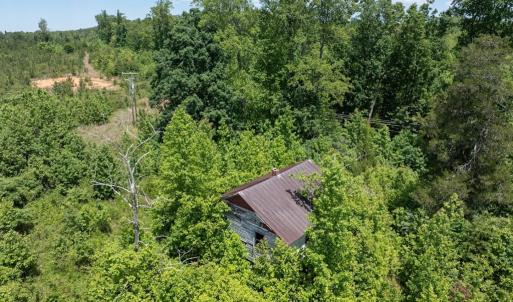Photo #5 of 153 West Stokes Road, Green Bay, VA 11.6 acres