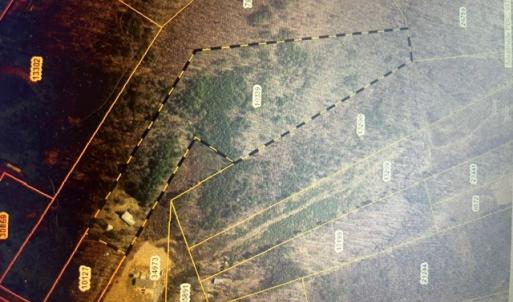 Photo #2 of 1190 Coles Ferry Road, Nathalie, VA 12.9 acres