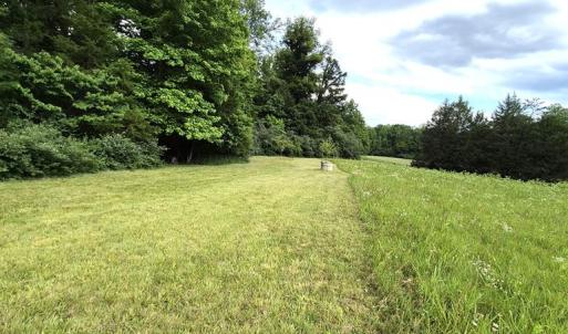 Photo #10 of 632 10.2AC Falkland Road, Meherrin, VA 10.2 acres