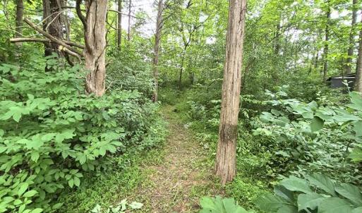 Photo #14 of 632 10.2AC Falkland Road, Meherrin, VA 10.2 acres