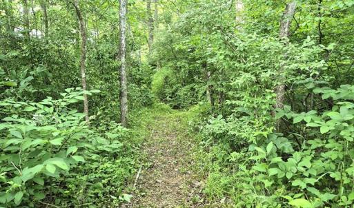 Photo #15 of 632 10.2AC Falkland Road, Meherrin, VA 10.2 acres