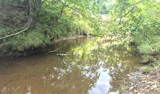 Photo #3 of 632 10.2AC Falkland Road, Meherrin, VA 10.2 acres
