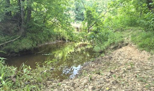 Photo #5 of 632 10.2AC Falkland Road, Meherrin, VA 10.2 acres