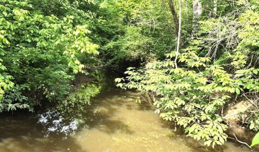 Photo #6 of 632 10.2AC Falkland Road, Meherrin, VA 10.2 acres