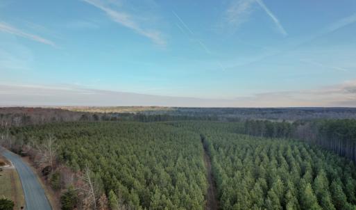 Photo #2 of Perkins Mill Rd, Dillwyn, VA 164.0 acres