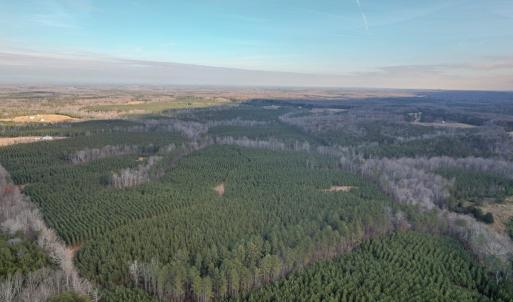 Photo #3 of Perkins Mill Rd, Dillwyn, VA 164.0 acres