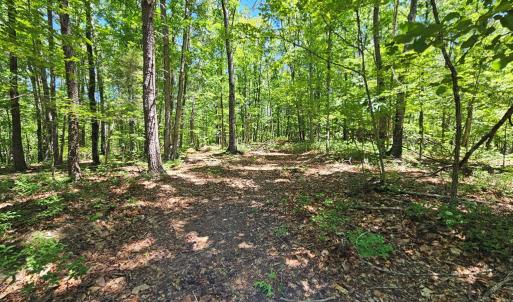Photo #10 of 15 Ac Manteo Rd, Buckingham, VA 15.0 acres
