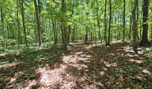 Photo #11 of 15 Ac Manteo Rd, Buckingham, VA 15.0 acres