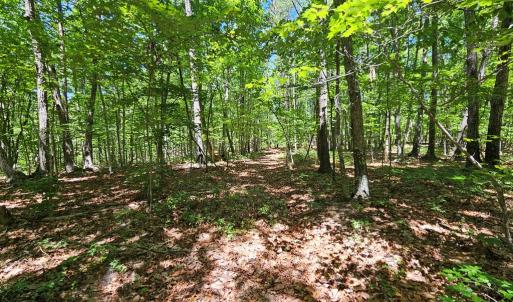 Photo #12 of 15 Ac Manteo Rd, Buckingham, VA 15.0 acres