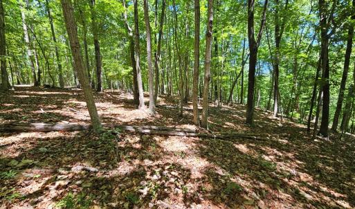 Photo #13 of 15 Ac Manteo Rd, Buckingham, VA 15.0 acres