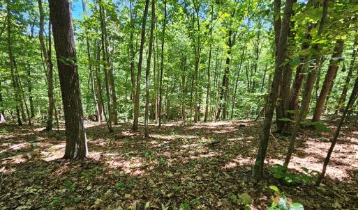 Photo #14 of 15 Ac Manteo Rd, Buckingham, VA 15.0 acres
