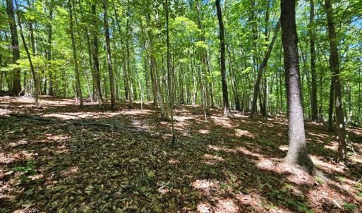 Photo #15 of 15 Ac Manteo Rd, Buckingham, VA 15.0 acres
