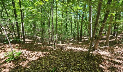 Photo #16 of 15 Ac Manteo Rd, Buckingham, VA 15.0 acres