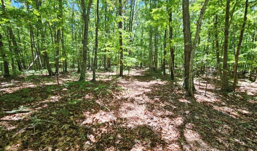 Photo #17 of 15 Ac Manteo Rd, Buckingham, VA 15.0 acres