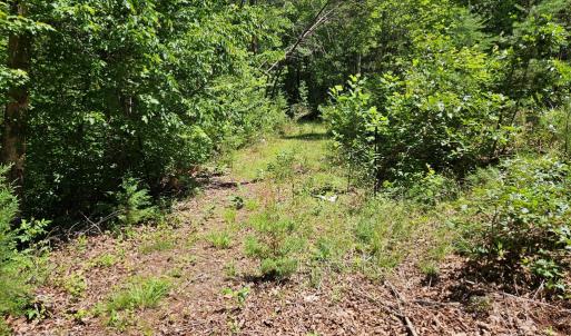 Photo #2 of 15 Ac Manteo Rd, Buckingham, VA 15.0 acres