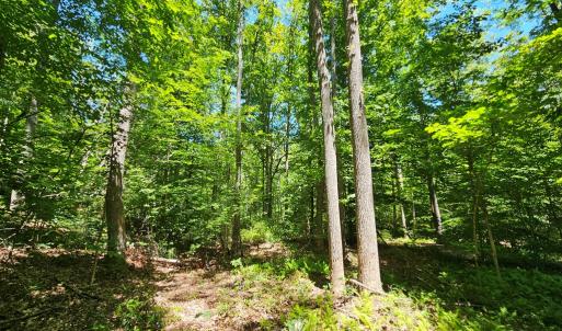 Photo #4 of 15 Ac Manteo Rd, Buckingham, VA 15.0 acres