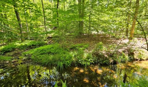 Photo #5 of 15 Ac Manteo Rd, Buckingham, VA 15.0 acres