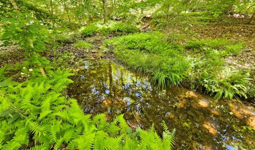 Photo #6 of 15 Ac Manteo Rd, Buckingham, VA 15.0 acres