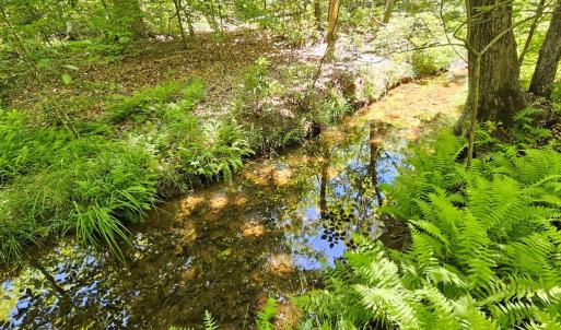 Photo #7 of 15 Ac Manteo Rd, Buckingham, VA 15.0 acres