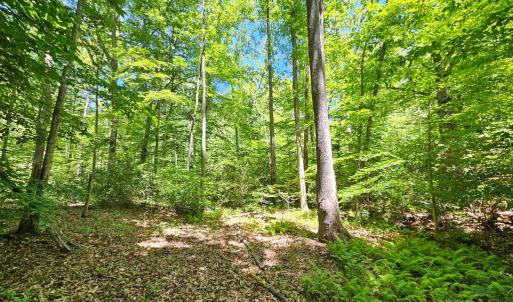Photo #8 of 15 Ac Manteo Rd, Buckingham, VA 15.0 acres