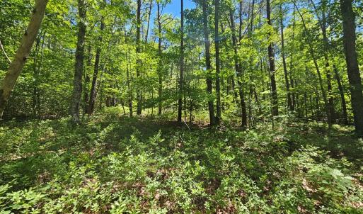 Photo #9 of 15 Ac Manteo Rd, Buckingham, VA 15.0 acres