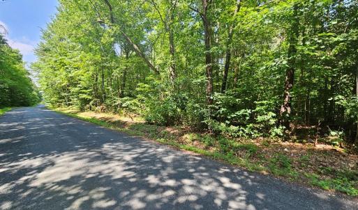 Photo #2 of 9 Ac Childress, Dillwyn, VA 9.0 acres
