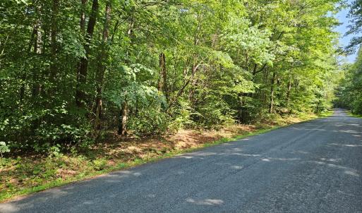 Photo #3 of 9 Ac Childress, Dillwyn, VA 9.0 acres