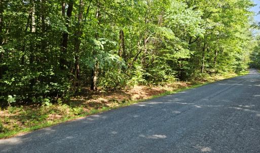 Photo #4 of 9 Ac Childress, Dillwyn, VA 9.0 acres