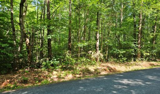 Photo #6 of 9 Ac Childress, Dillwyn, VA 9.0 acres