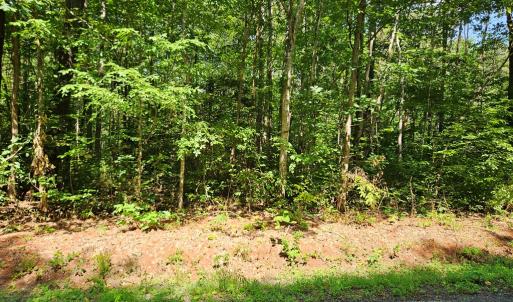 Photo #10 of 9 Ac Childress, Dillwyn, VA 9.0 acres