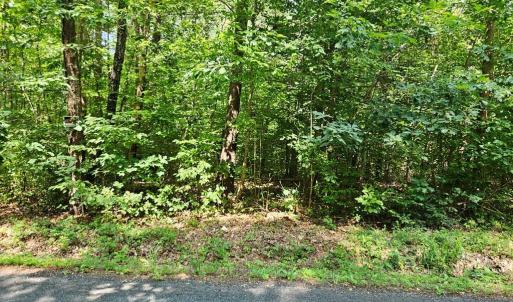 Photo #12 of 9 Ac Childress, Dillwyn, VA 9.0 acres