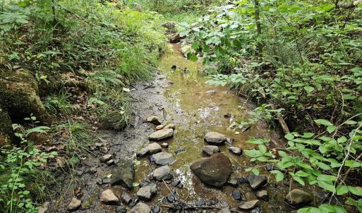 Photo #17 of 9 Ac Childress, Dillwyn, VA 9.0 acres