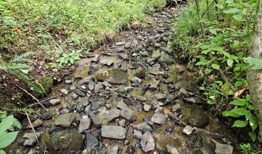 Photo #18 of 9 Ac Childress, Dillwyn, VA 9.0 acres