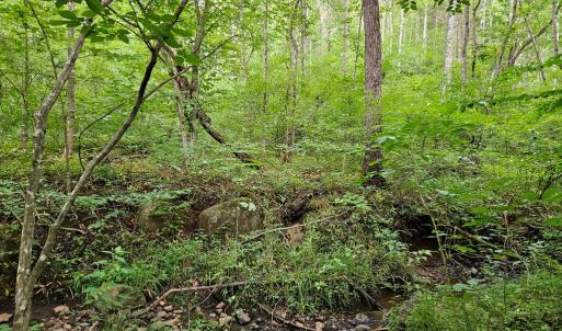 Photo #20 of 9 Ac Childress, Dillwyn, VA 9.0 acres