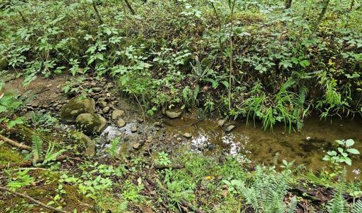 Photo #21 of 9 Ac Childress, Dillwyn, VA 9.0 acres