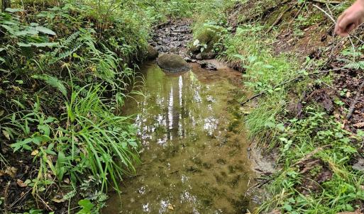 Photo #26 of 9 Ac Childress, Dillwyn, VA 9.0 acres