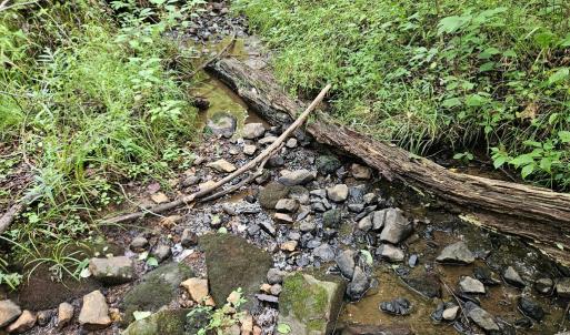 Photo #3 of 9 Ac Childress, Dillwyn, VA 9.0 acres