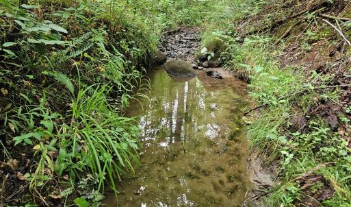 Photo #4 of 9 Ac Childress, Dillwyn, VA 9.0 acres