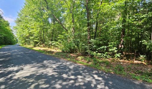 Photo #7 of 9 Ac Childress, Dillwyn, VA 9.0 acres