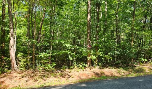 Photo #9 of 9 Ac Childress, Dillwyn, VA 9.0 acres