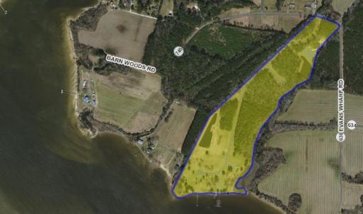 Photo #29 of Lot 75 SANDPIPER COVE RD, ONANCOCK, VA 40.9 acres