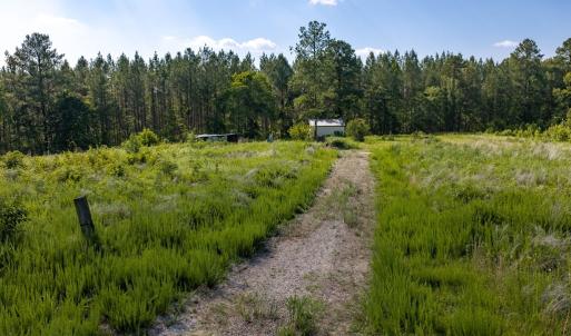 Photo #14 of Wallace's Bridge Road, Lunenburg, VA 4.7 acres