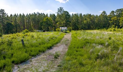 Photo #15 of Wallace's Bridge Road, Lunenburg, VA 4.7 acres