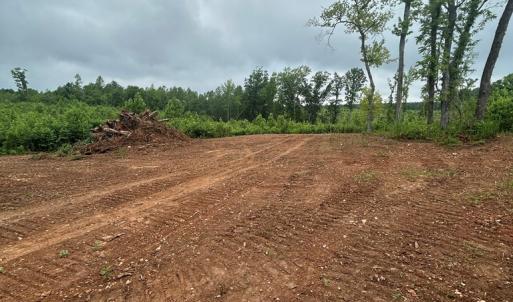 Photo #2 of Kings Road, Green Bay, VA 5.3 acres